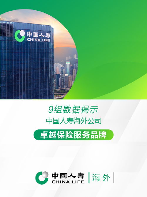 國壽海外公司 踐行“333戰略”，守護社會經濟咨詢