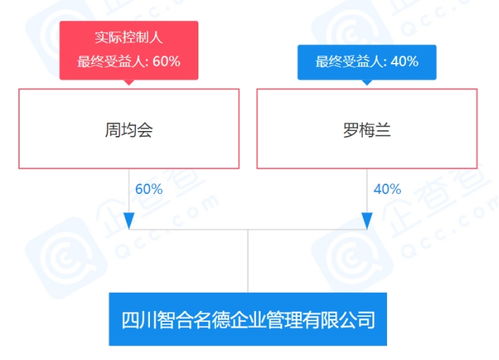 元旦放假47天引發關注 僅成立4個多月的公司，社會經濟咨詢服務的另類運營