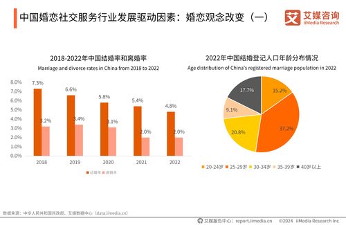 2024-2025年中國婚戀社交服務市場研究報告